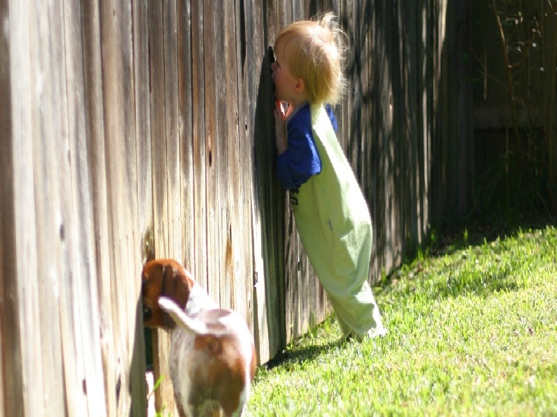 长春最靠谱的代生,代生咨询：在长春公立医院可